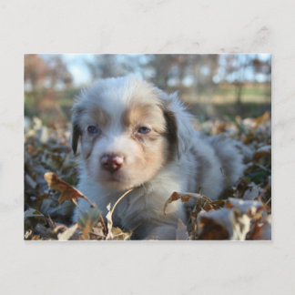 Postkarte
