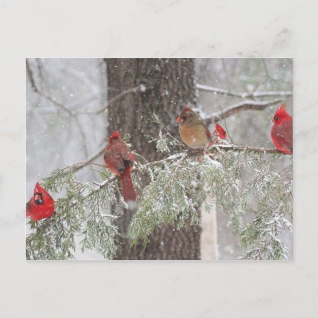 Postkarte (Vorderseite)