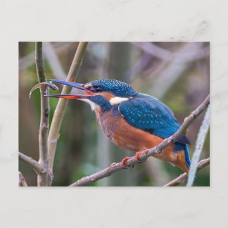 Postkarte