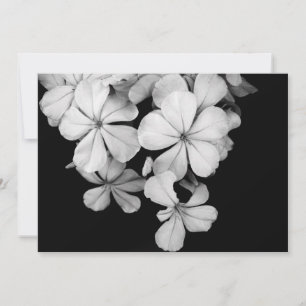 Postkarte