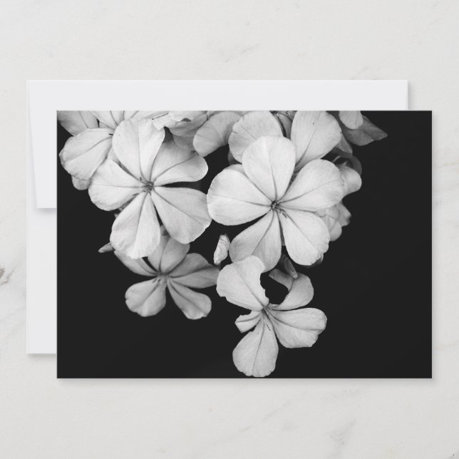 Postkarte (Vorderseite)