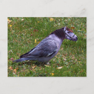 Postkarte