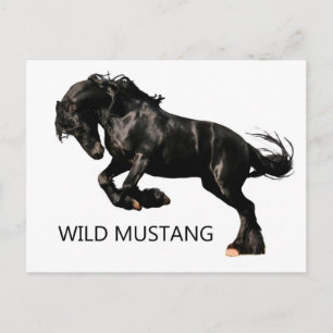 Postkarte