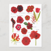 Postkarte
