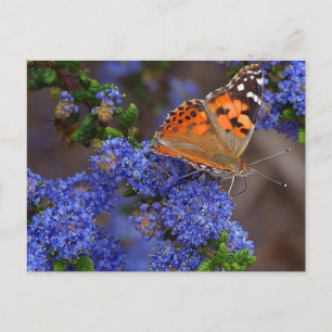Postkarte