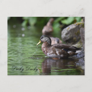 Postkarte
