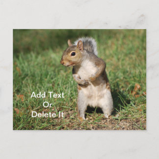 Postkarte