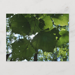 Postkarte