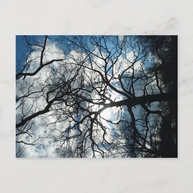 Postkarte (Vorderseite)