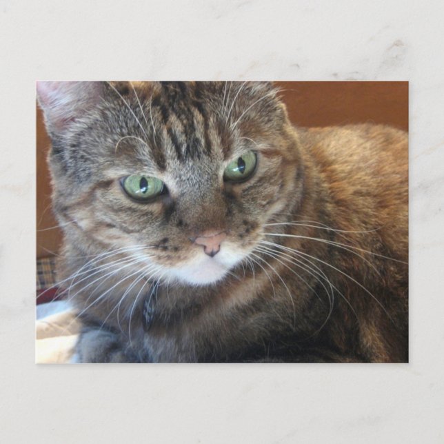 Postkarte (Vorderseite)