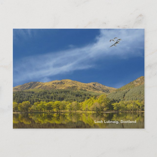 Postkarte (Vorderseite)