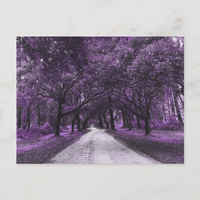 Postkarte (Vorderseite)