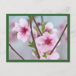 Postkarte