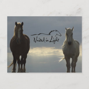 Postkarte