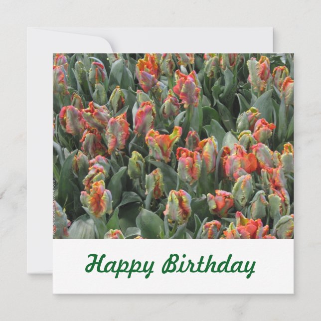 Postkarte (Vorderseite)