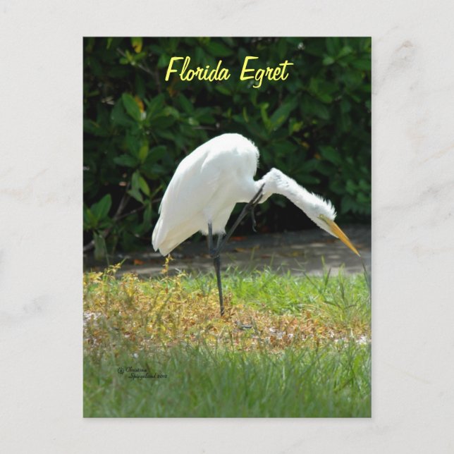 Postkarte (Vorderseite)