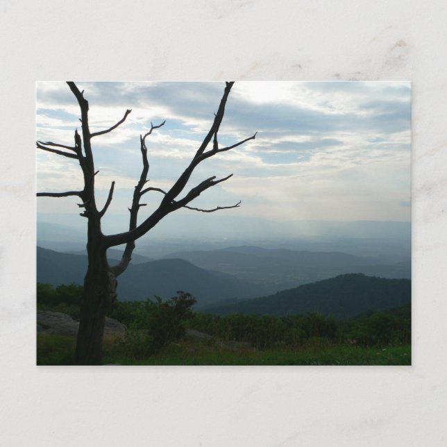 Postkarte (Vorderseite)