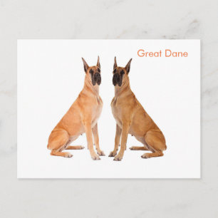 Postkarte