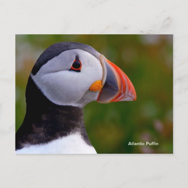 Postkarte (Vorderseite)