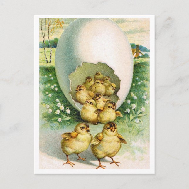 Postkarte (Vorderseite)