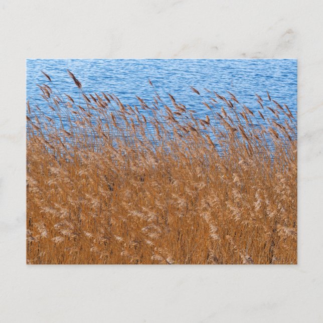 Postkarte (Vorderseite)