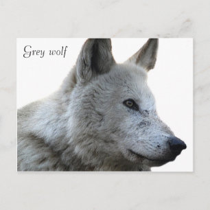 Postkarte