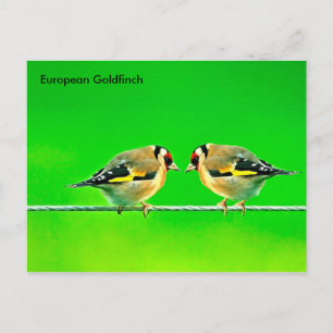 Postkarte