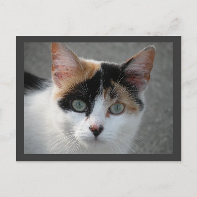 Postkarte (Vorderseite)
