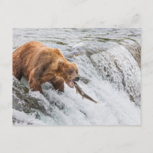  POSTKARTE