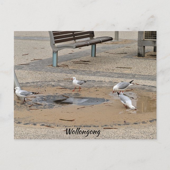 Postkarte (Vorderseite)