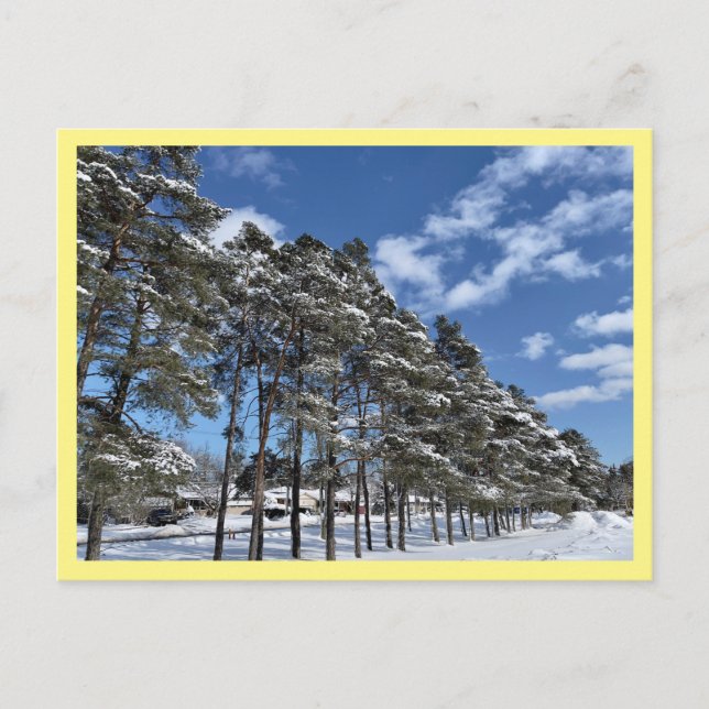 Postkarte (Vorderseite)