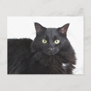 Postkarte