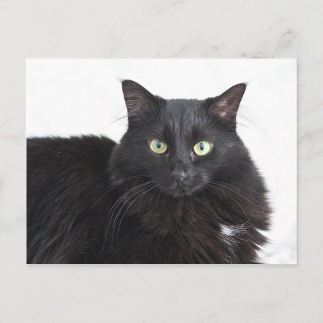 Postkarte (Vorderseite)