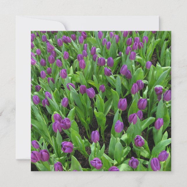 Postkarte (Vorderseite)