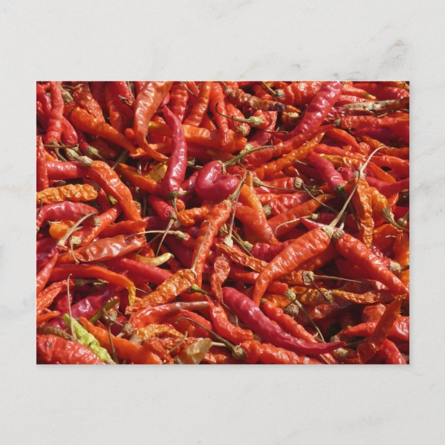 Postkarte (Vorderseite)