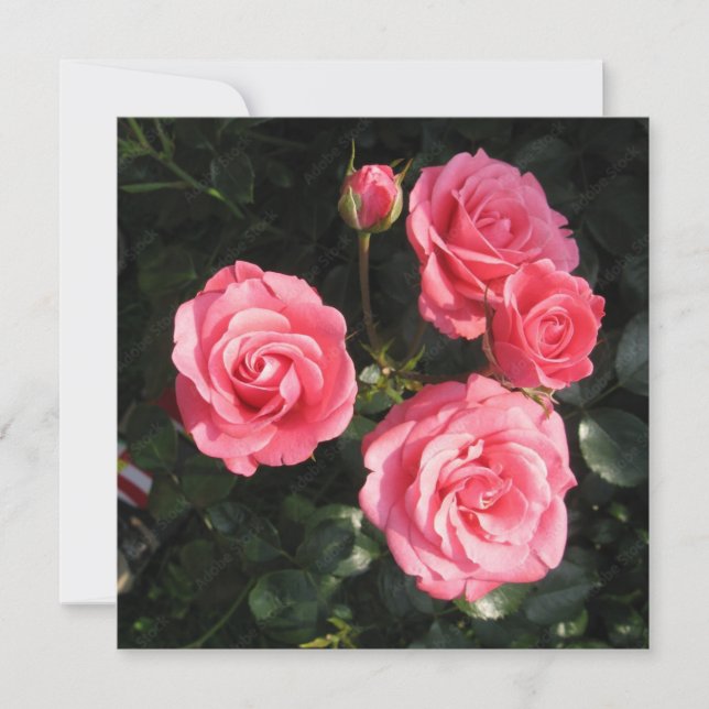 Postkarte (Vorderseite)