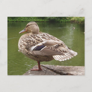 Postkarte