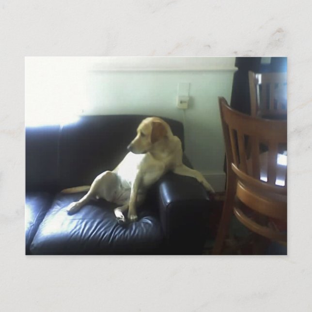  POSTKARTE (Vorderseite)