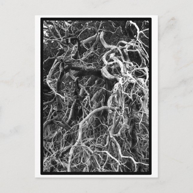 Postkarte (Vorderseite)