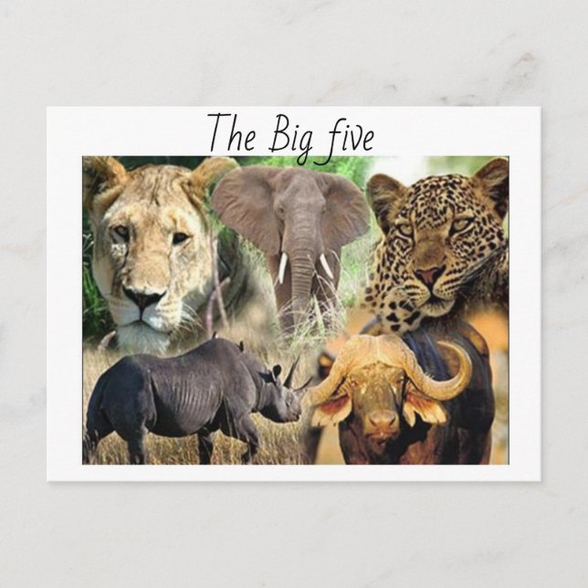 Postkarte (Vorderseite)