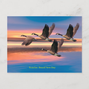 Postkarte