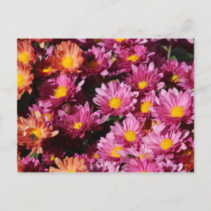 Postkarte