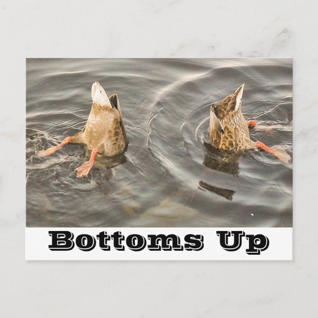 Postkarte (Vorderseite)