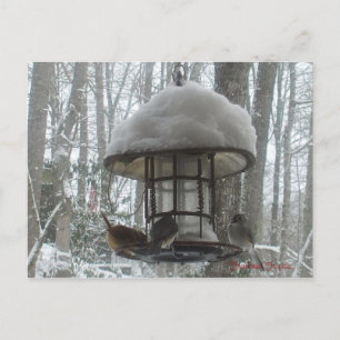 Postkarte
