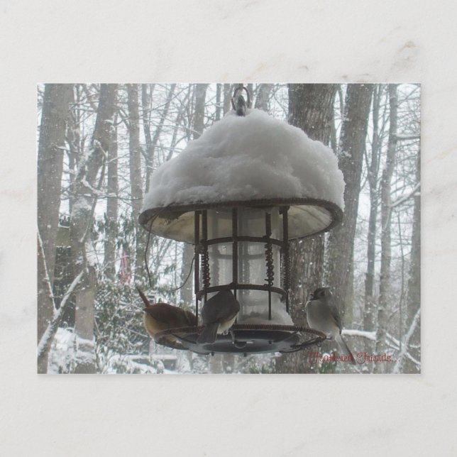 Postkarte (Vorderseite)