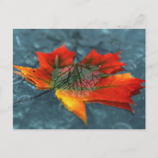 Postkarte (Vorderseite)