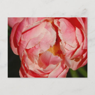 Postkarte