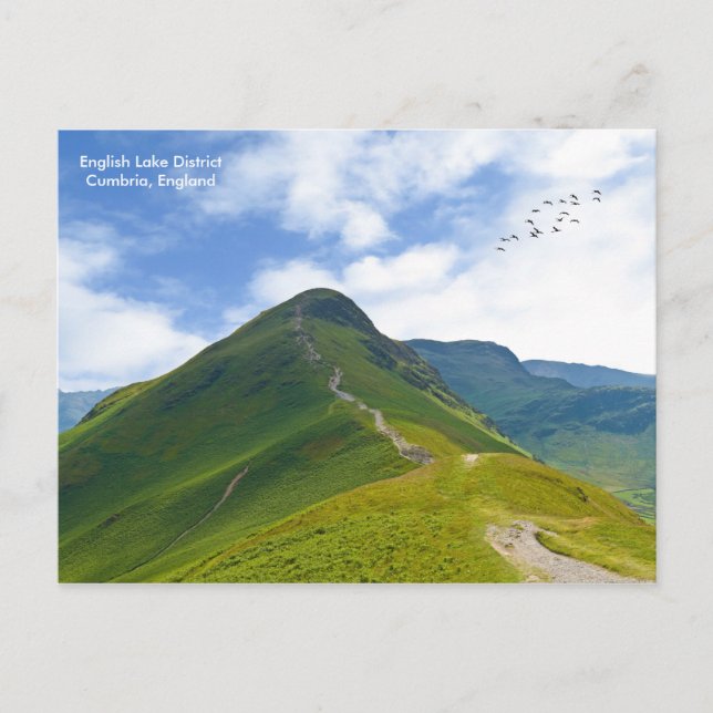 Postkarte (Vorderseite)