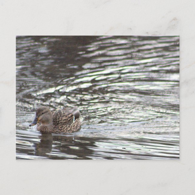 Postkarte (Vorderseite)