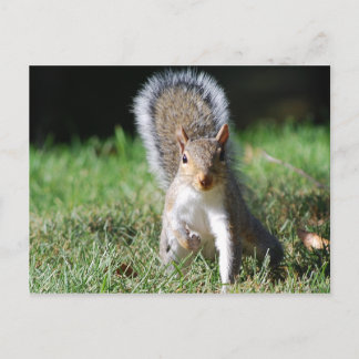 Postkarte